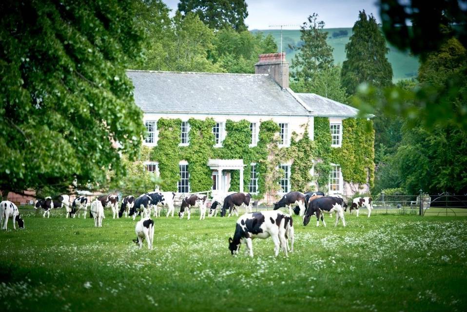 Low House, Armathwaite