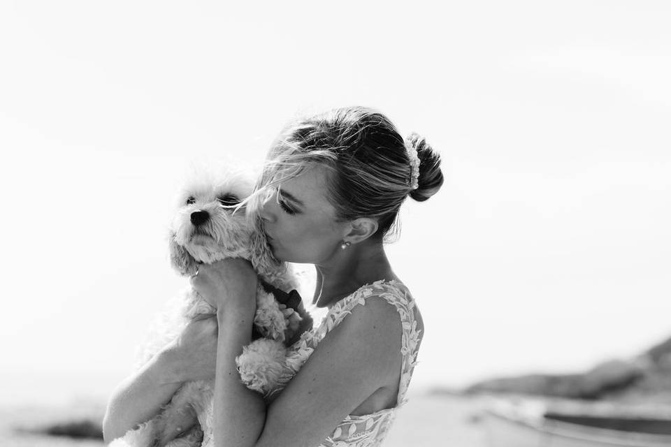 Fur babies are always welcomed