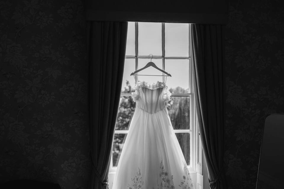 The dress