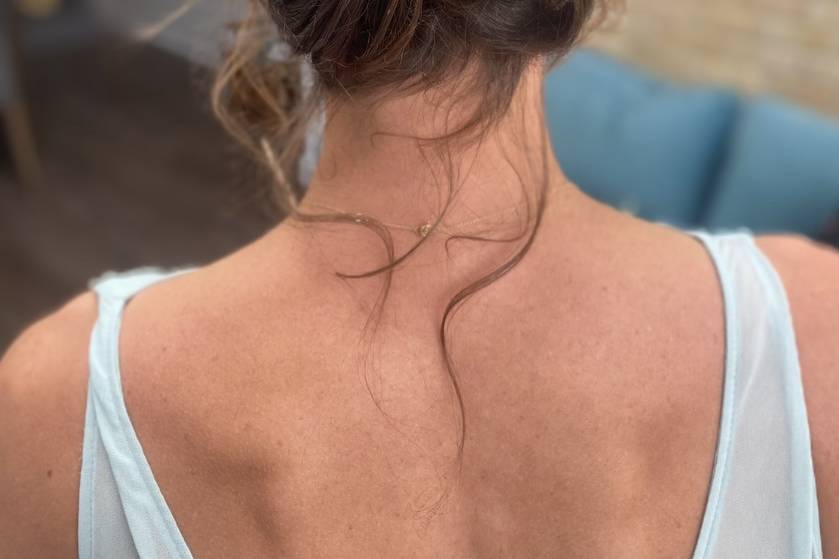 Bridesmaids plaited updo