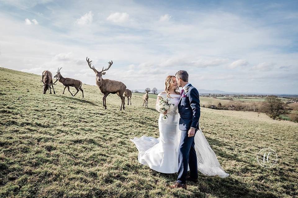 Deer Park wedding
