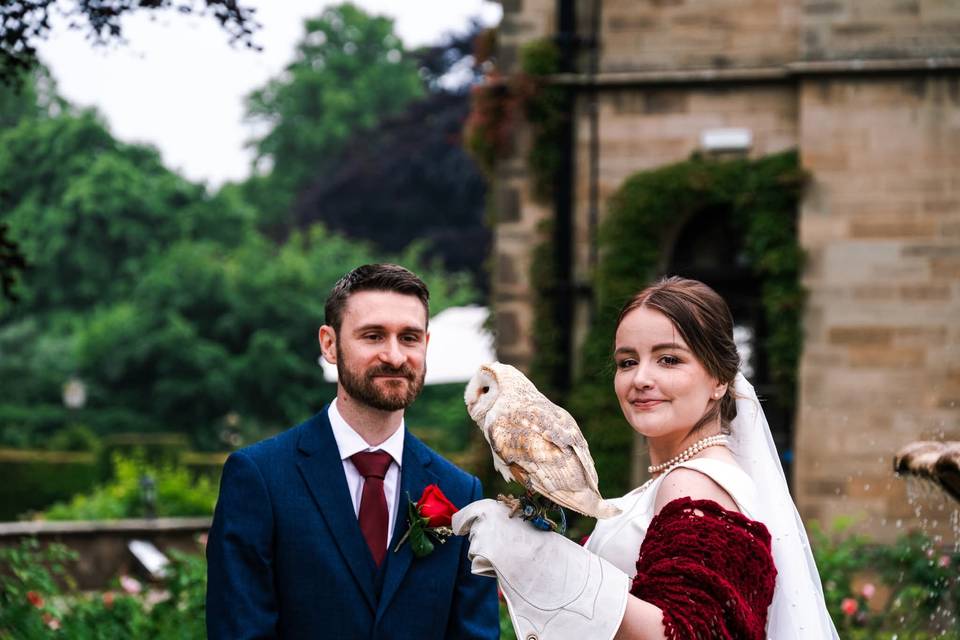 Owl wedding photography