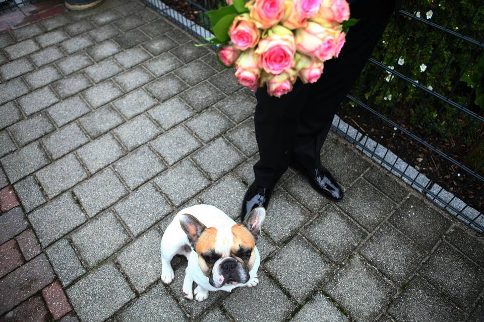 Puppy joy on the big day!