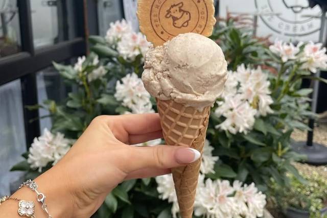 The Mobberley Ice Cream Company