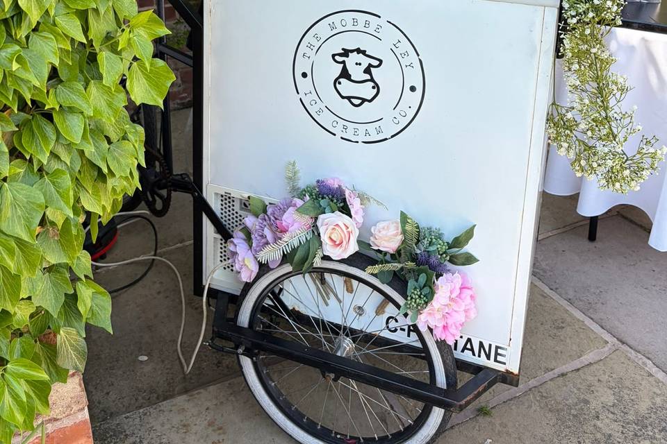Wedding Ice Cream Cart