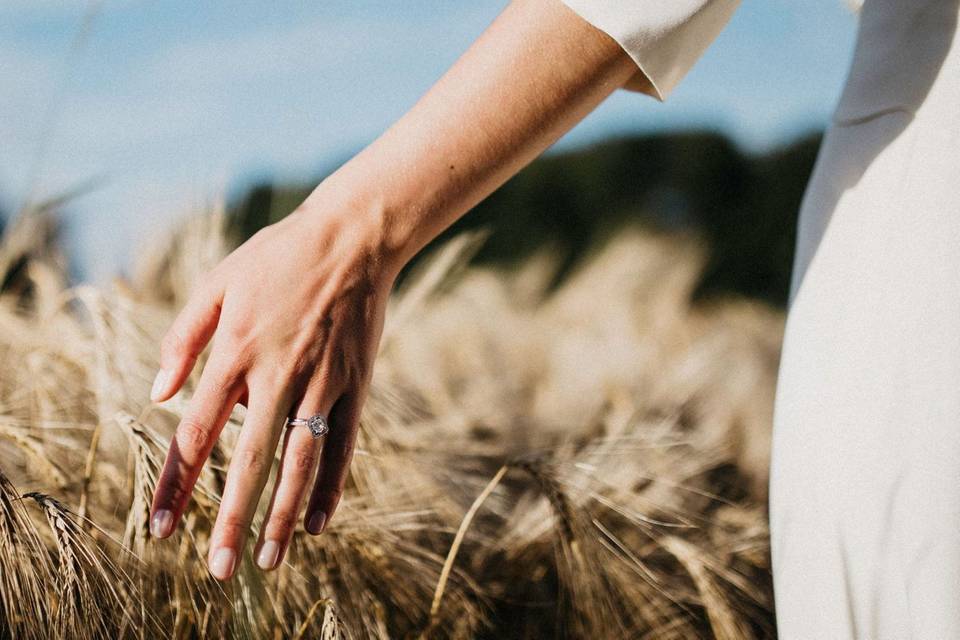 Ring detail in the field
