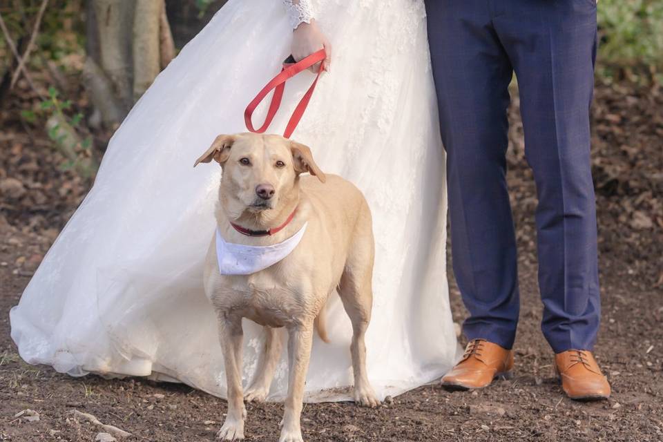 Bride and groom