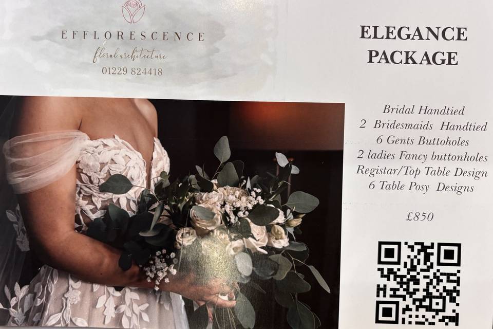 Efflorescence ltd