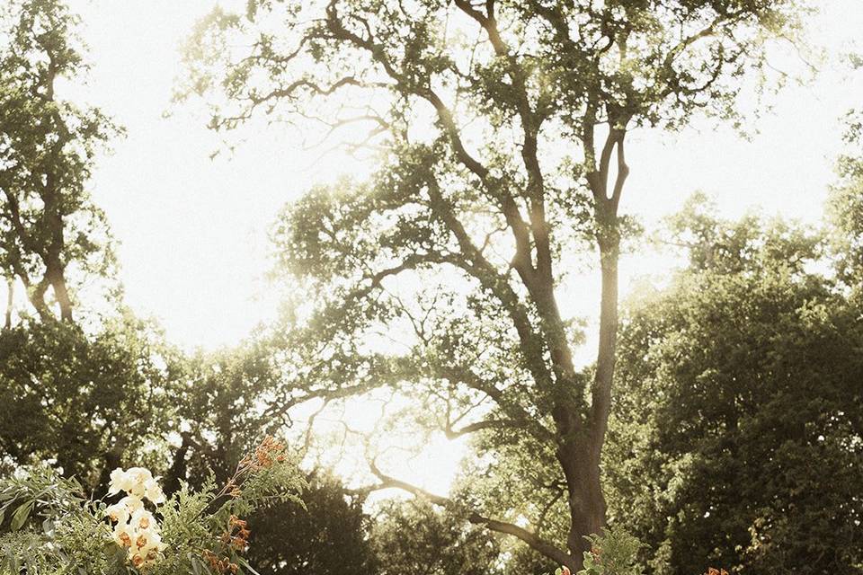 Summer wedding arch