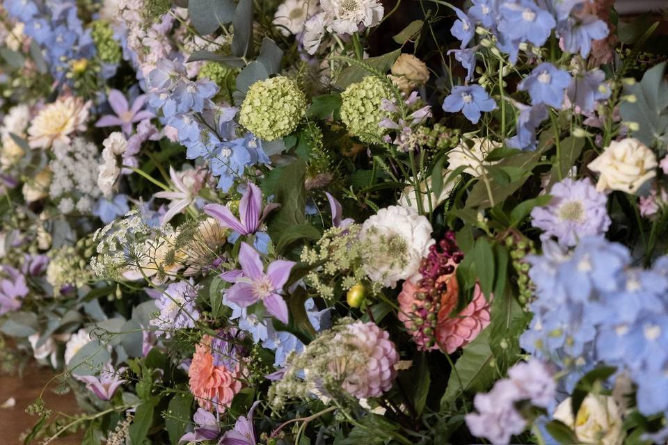 Delphinium meadow tray