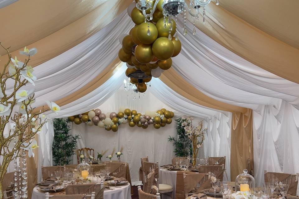 Marquee dinner reception