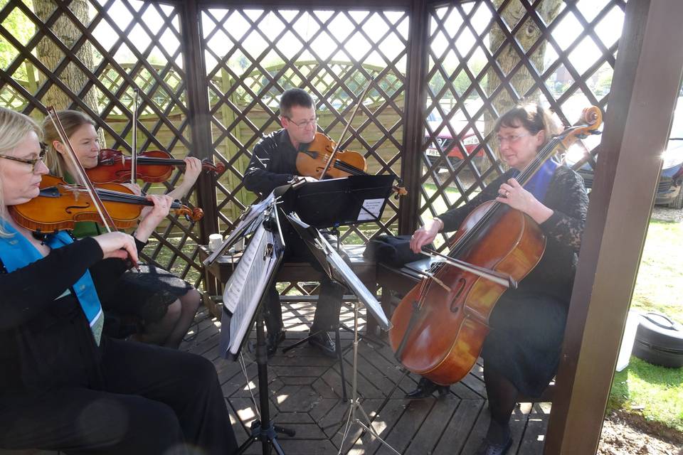 Cotswold Ensemble String Quartet