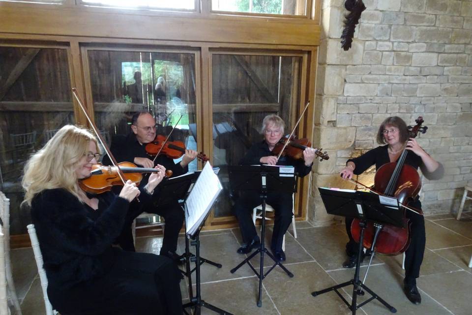 Cotswold Ensemble String Quartet