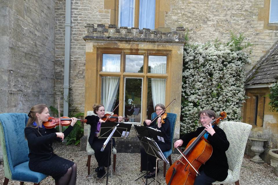 Cotswold Ensemble String Quartet