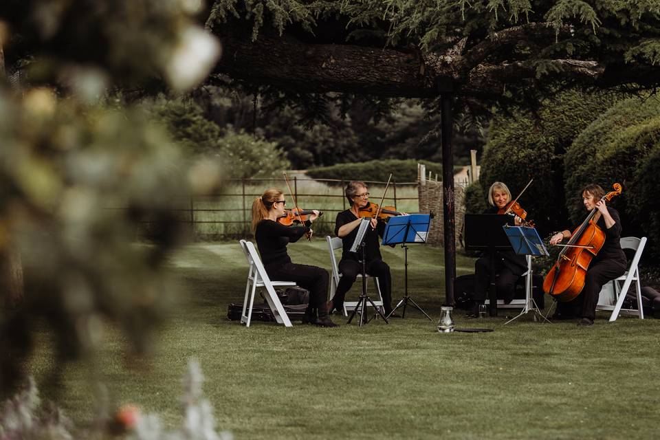 Cotswold Ensemble String Quartet