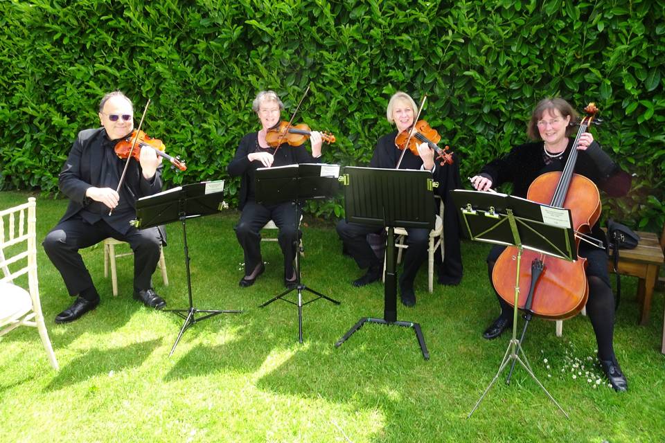 Cotswold Ensemble String Quartet