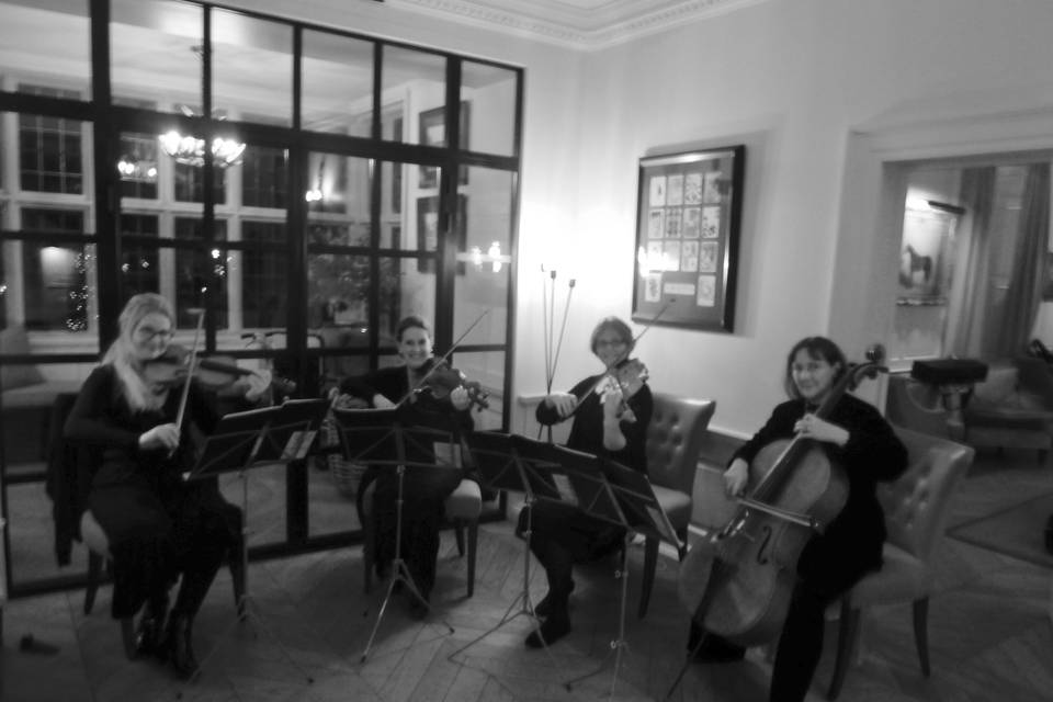 Cotswold Ensemble String Quartet