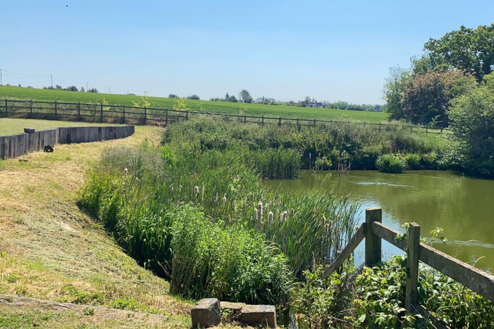 The paddock near a pond