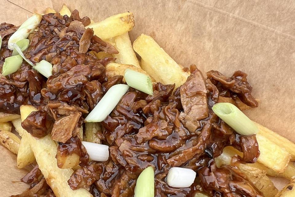 Hoisin duck loaded fries