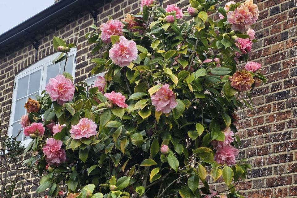 Spring weddings on the hill