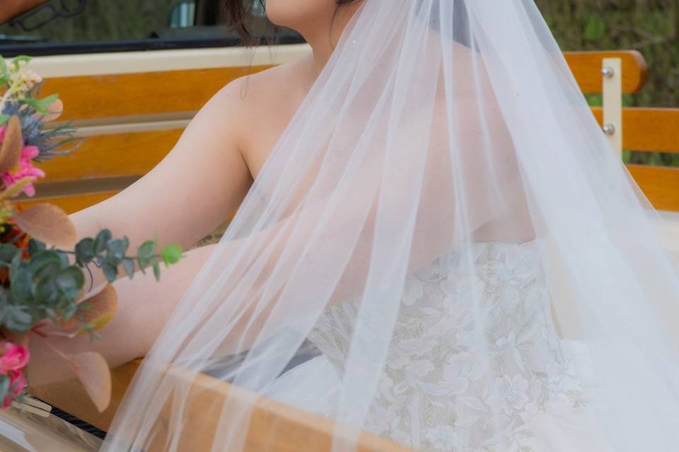 Bridal portrait