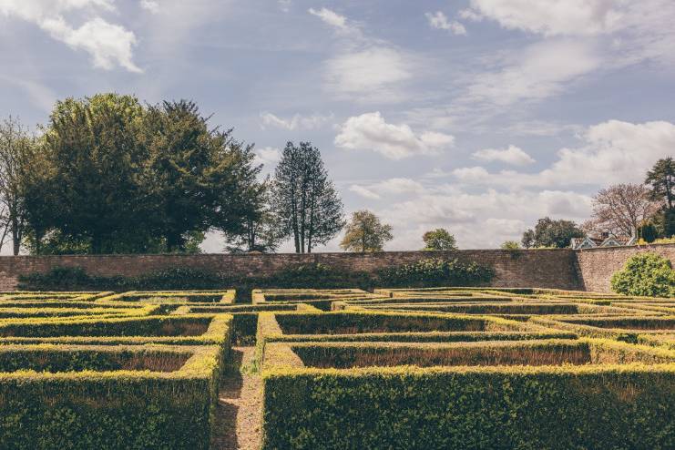 Green maze garden