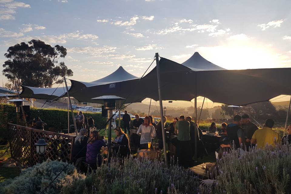 Dusk stretch tent