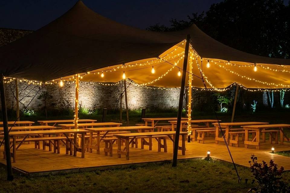 Festoon and fairy lights