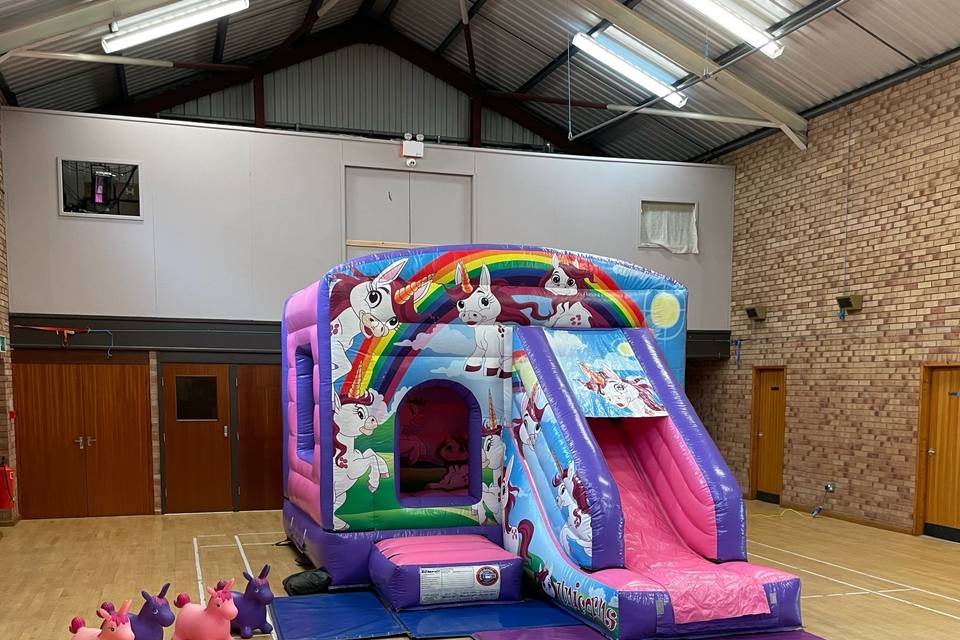 Bouncy Castle With Slide Combo