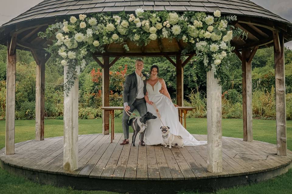 Couple with their dogs