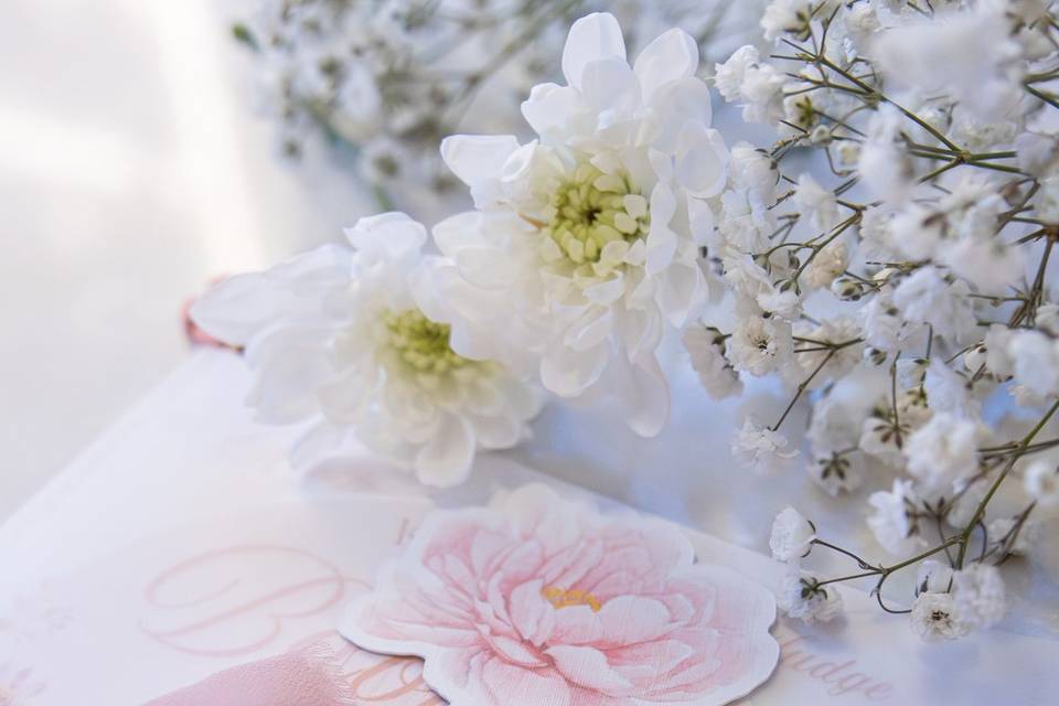 Vellum & Blush