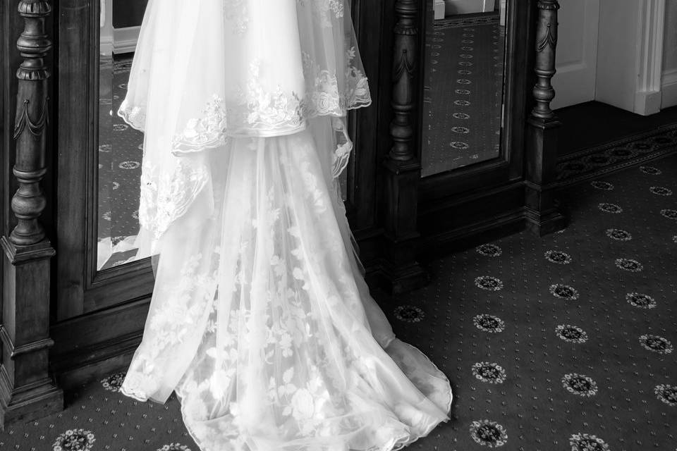 Wedding dress highlight