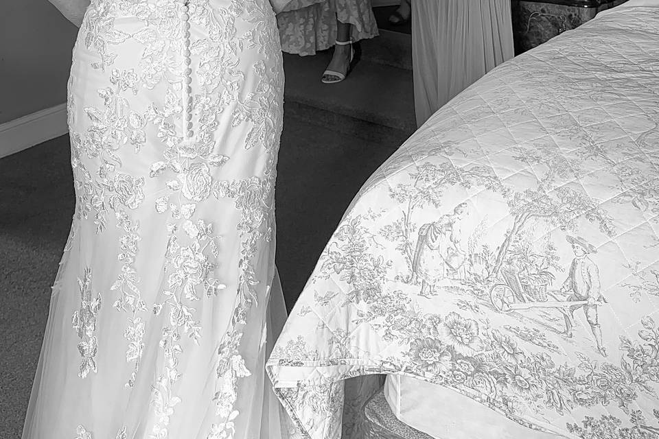 Dress reveal