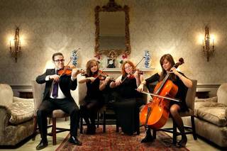 Vitula String Quartet