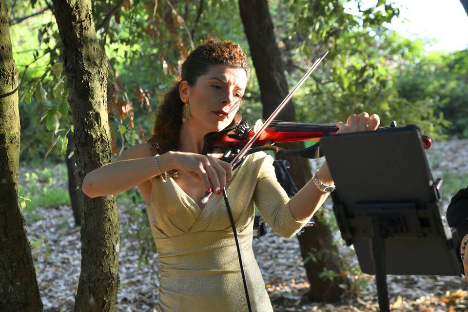Violinist