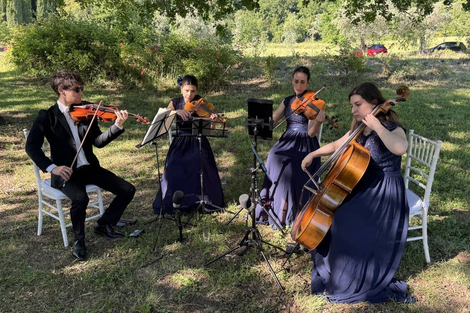 String quartet