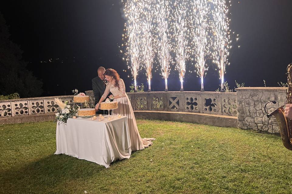 Cake cutting