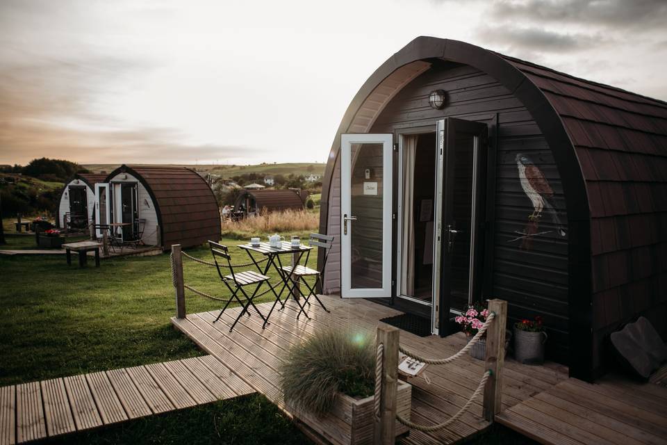 Falcon Glamping Pod