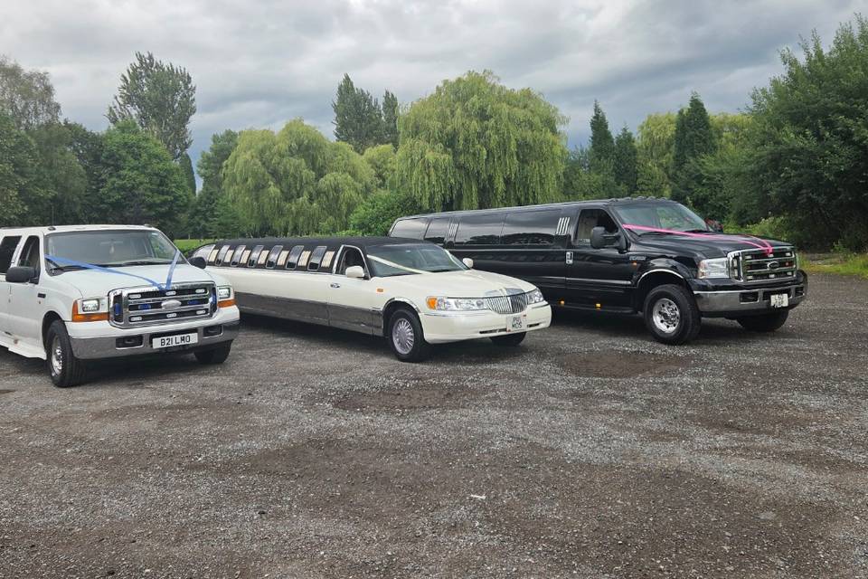 diffrent Limos