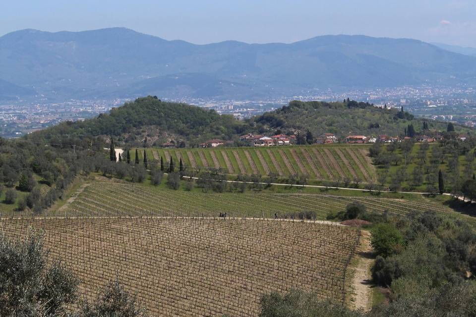 View