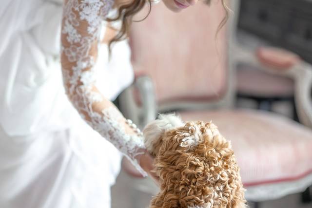 Wedding Celebrations