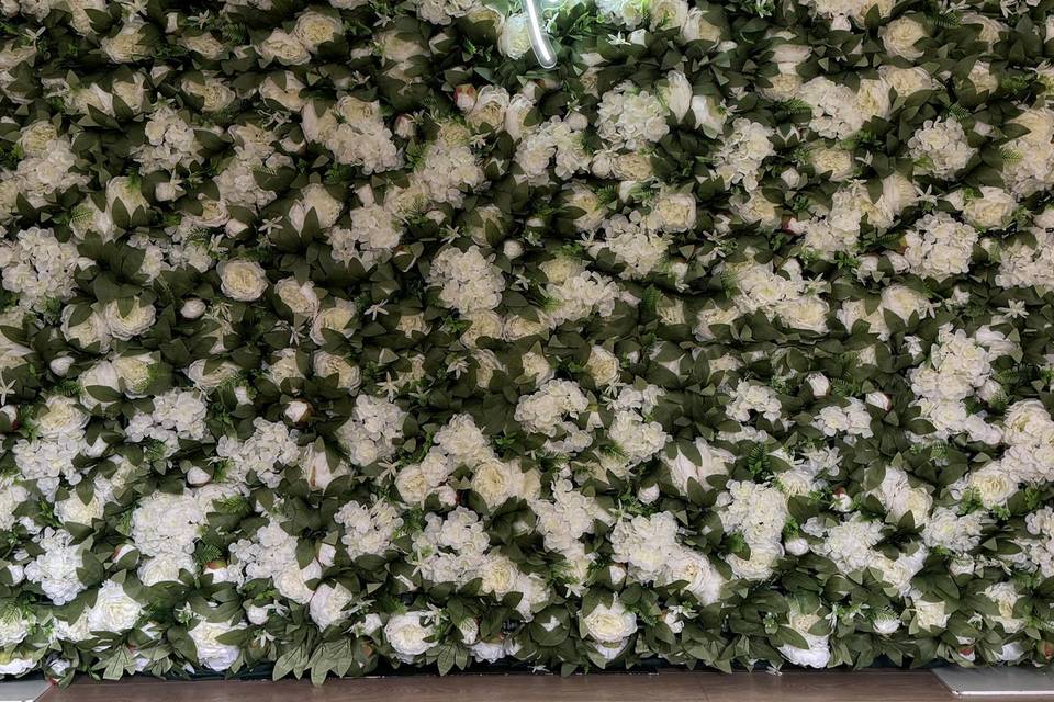 Flower wall backdrop Hire