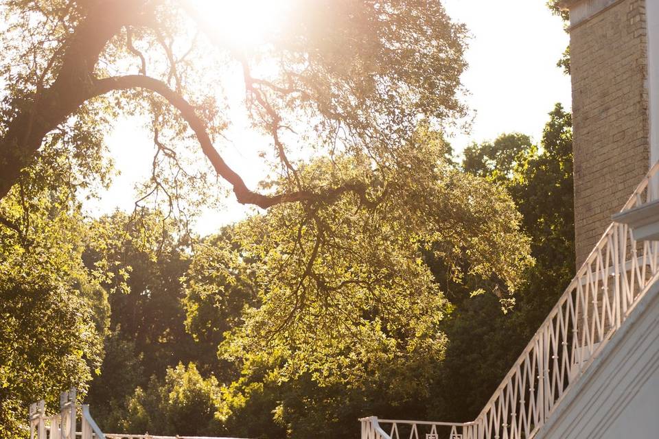 Outside Stairs & Terrace