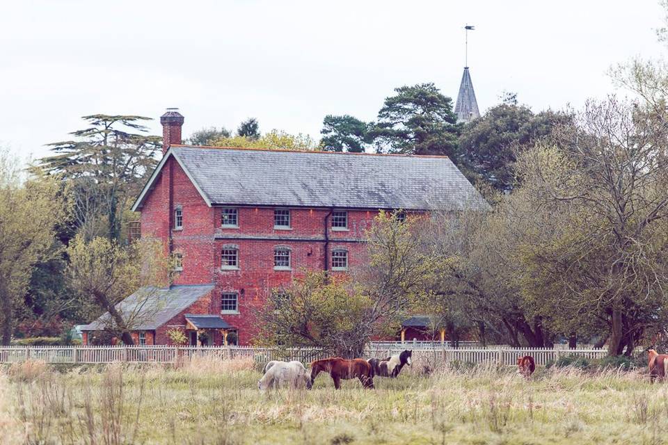 Sopley Mill