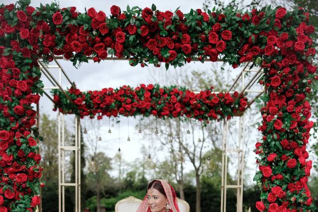 Wedding Day
