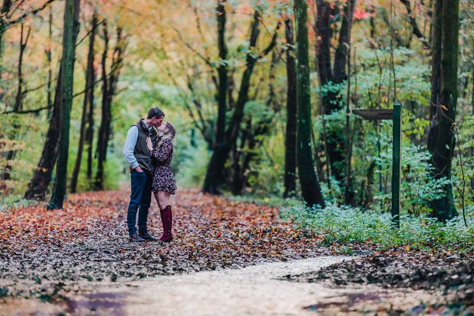 Hundred acre woods engagement