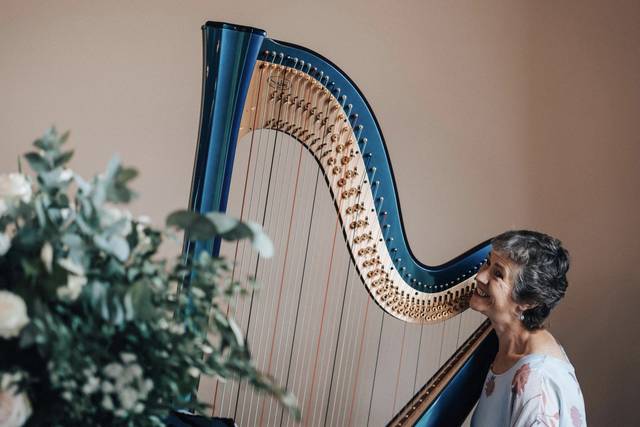 Absolute Harp