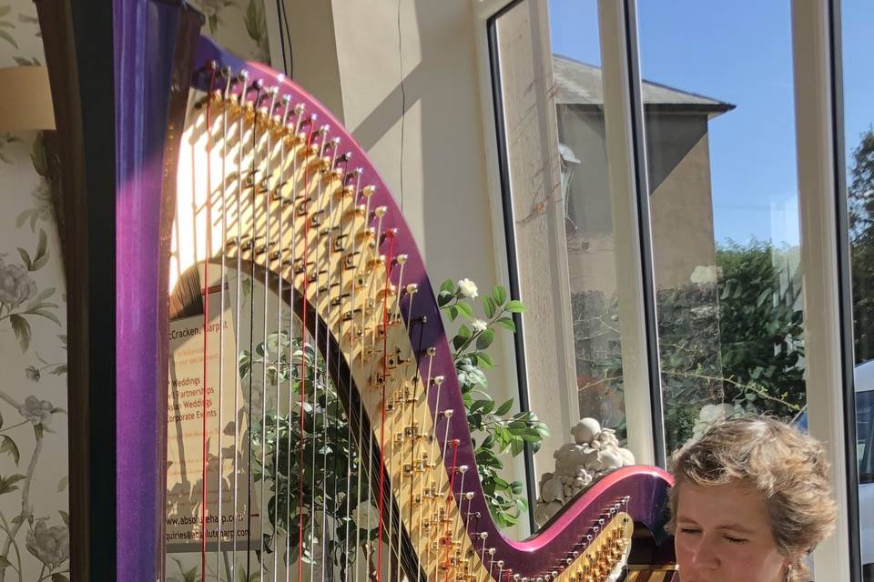 Absolute Harp