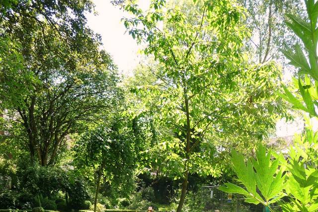 Hellens Manor 8