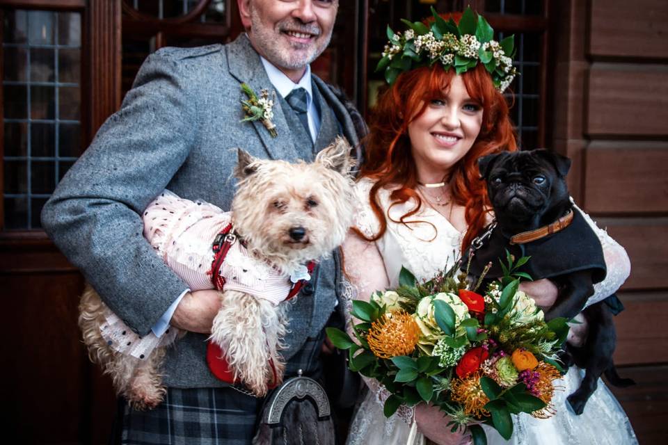 Colourful & wild flowers